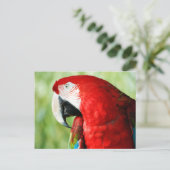 Macaw Portrait Briefkaart (Staand voorkant)