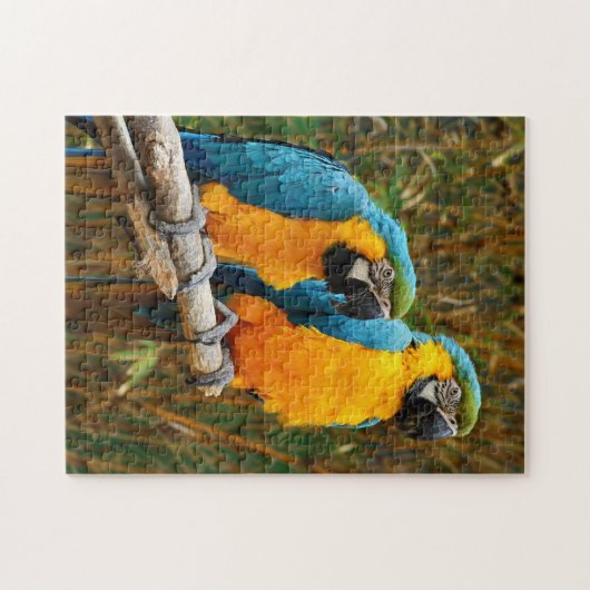 Macaw Puzzle Legpuzzel (Horizontaal)