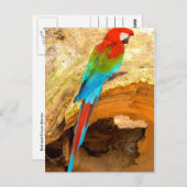 Macaw rouge et vert, Carte postale Trinidad (Devant / Derrière)