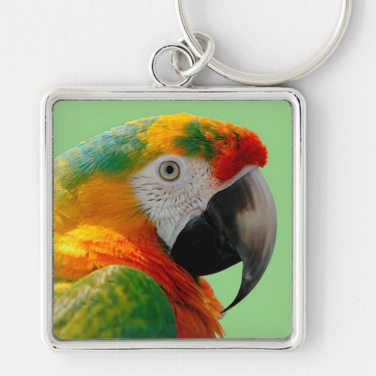 Macaw Sleutelhanger (Voorkant)