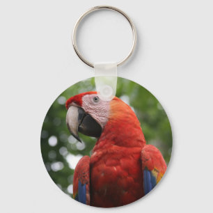 macaw sleutelhanger