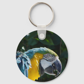 Macaw Sleutelhanger