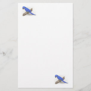 Macaw Stationery Briefpapier