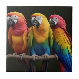 Macaw Tegeltje