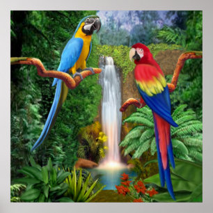 Macaw Tropische parrots Poster