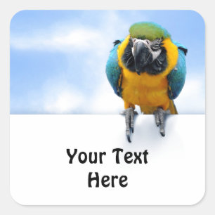 Macaw Vierkante Sticker
