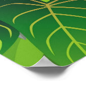 Macaw vogelillustratie poster (Hoek)