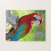 Macaw zittend op vertakking legpuzzel (Horizontaal)