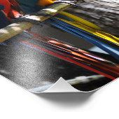 Macaws in Key West Foto Afdruk (Hoek)