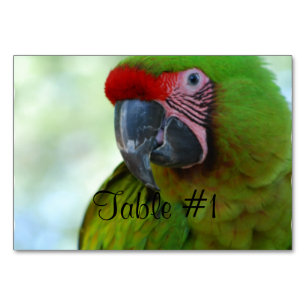 Macaws Kaart