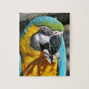 MACAWS LEGPUZZEL