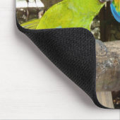 Macaws Mousepad Muismat (Hoek)
