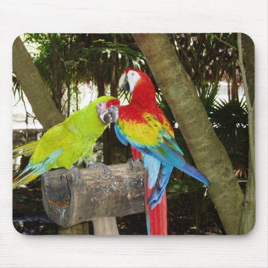 Macaws Mousepad Muismat (Voorkant)