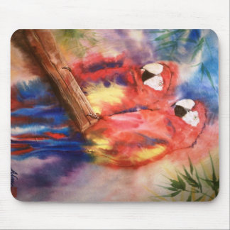 Macaws Muismat