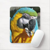 MACAWS MUISMAT (Met muis)