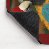 Macaws Muismat (Hoek)