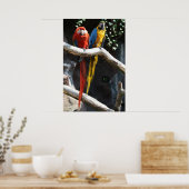 Macaws Poster (Keuken)