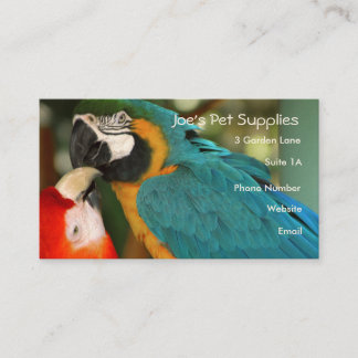 Macaws-Visitekaartjes Visitekaartje