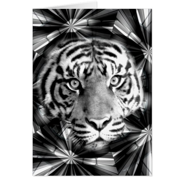 M'accepter_ (Devant)