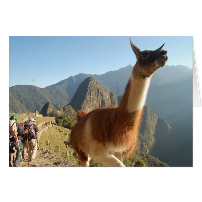 Macchu Picchu (Devant horizontal)