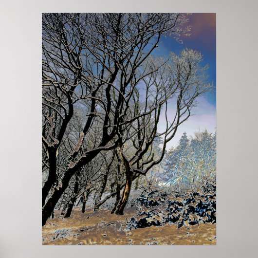 Macclesfield Forest Winter Card Acrylprint Poster (Voorkant)