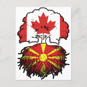 Macedonische Canadese bomen in Canada Briefkaart