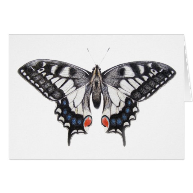 Machaon 2012 (Devant horizontal)
