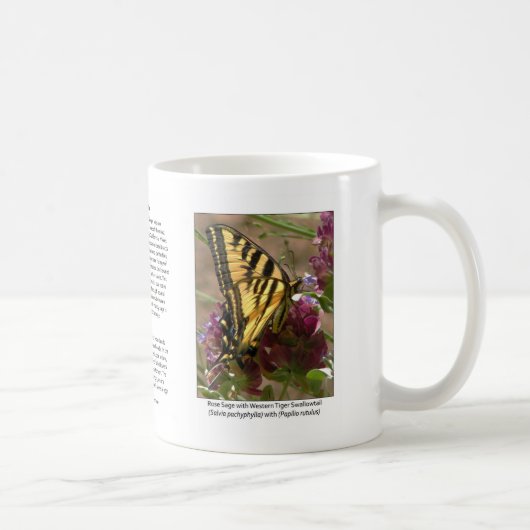 Machaon de tigre avec la tasse de café sage rose (Droite)