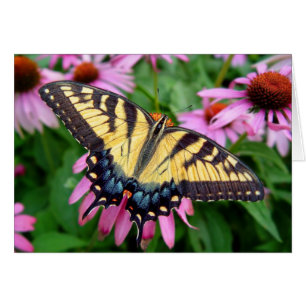 Machaon de tigre de papillon