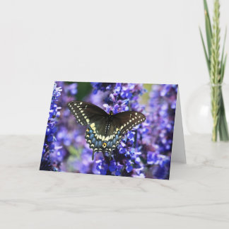 Machaon noir 7 x carte de voeux 5 - blanc