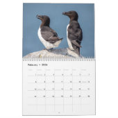 Machias Seal Island (Puffins) 2026 Kalender (Feb 2026)