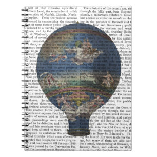 Machine Aerostatique Hot Air Ballon Notitieboek