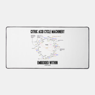Machines À Cycle D'Acide Citrique Intégrées Dans D