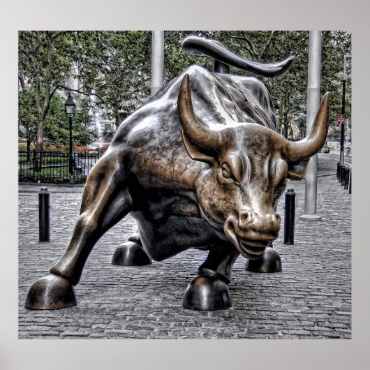 Macht van de stier poster (Voorkant)