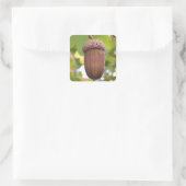 Machtige eikel in een eikenboom Stickers (Tas)