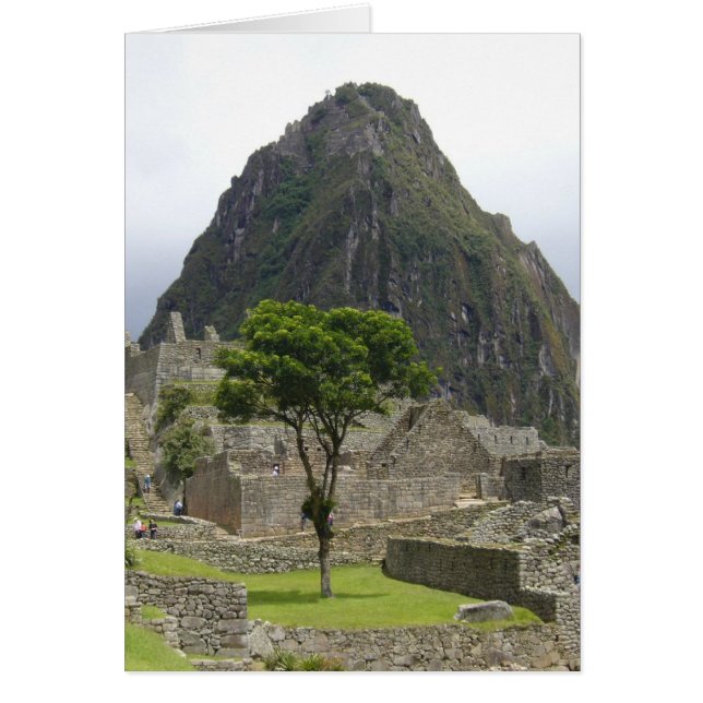machu picchu (Devant)