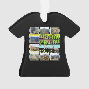 Machu Picchu Pérou Bonheur