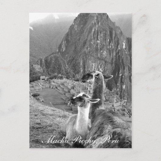 Machu Picchu Peru Briefkaart (Voorkant)