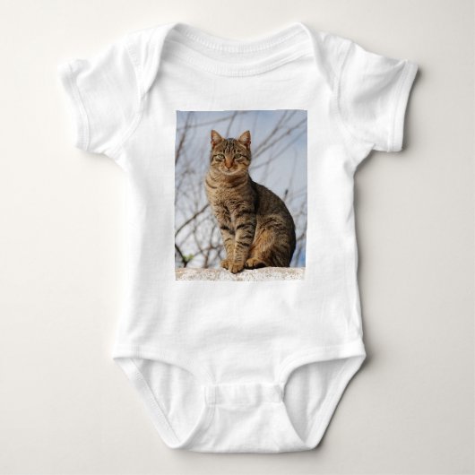 Mackerel Tabby Cat Romper (Voorkant)