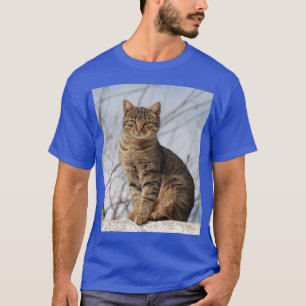 Mackerel Tabby Cat T-shirt