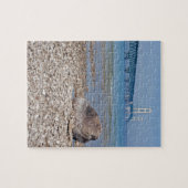 Mackinac Bridge met Rock Puzzle Legpuzzel (Horizontaal)