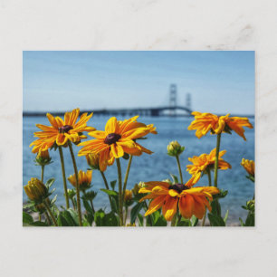 Mackinac Bridge Zwarte Ogen Briefkaart