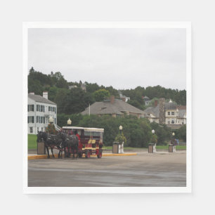 Mackinac Island 2 serviettes en papier