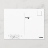 Mackinac Island Street Scene Briefkaart (Achterkant)