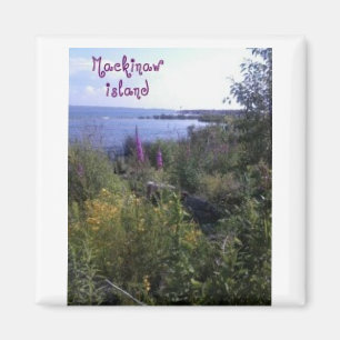 Mackinaw Island Magnet Magneet