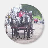 Mackinaw Island Series Magneet (Voorkant)