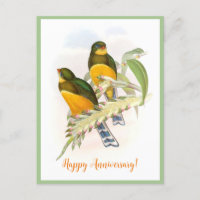 Macklot's Trogon (1850-1883) 