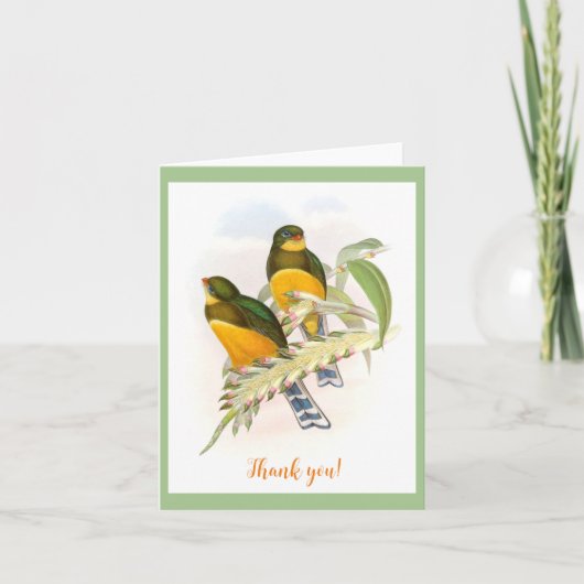 Macklot's Trogon (1850-1883)  Kaart (Voorkant)