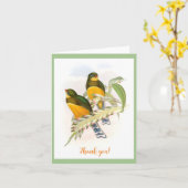 Macklot's Trogon (1850-1883)  Kaart (Gele Bloem)