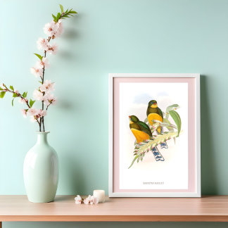 Macklot's Trogon (1850-1883) Poster